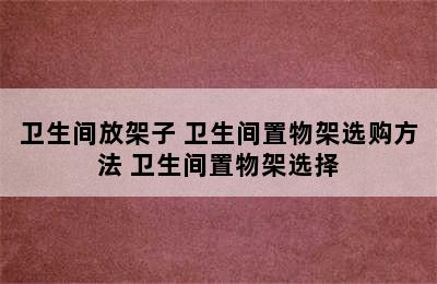 卫生间放架子 卫生间置物架选购方法 卫生间置物架选择